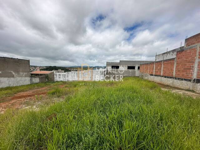 #TE1606 - Terreno para Venda em São José dos Campos - SP - 3