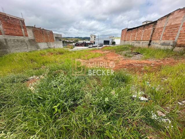 #TE1608 - Terreno para Venda em São José dos Campos - SP - 3