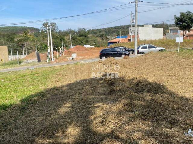 #TE2048 - Terreno para Venda em São José dos Campos - SP - 2