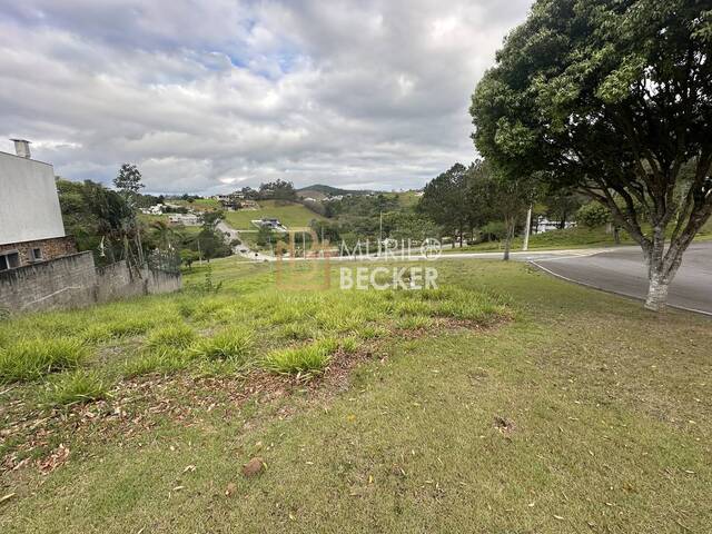 #TE2500 - Terreno em condomínio para Venda em Jambeiro - SP