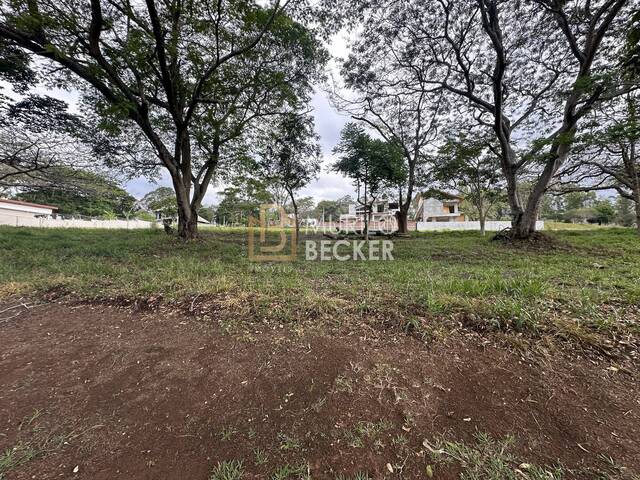 #TE2502 - Terreno em condomínio para Venda em Jambeiro - SP - 3